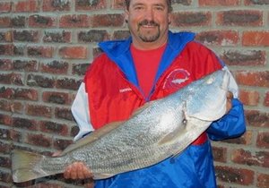 Galjoene en Kabeljoue